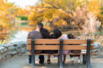 family sitting on a bench enjoying a waterfront view with fall foliage in colors similar to a corn maze in Phoenix, AZ